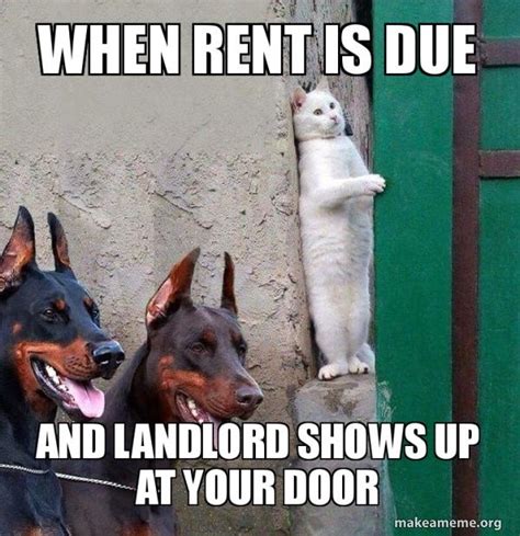 meme rent|funny rent memes.